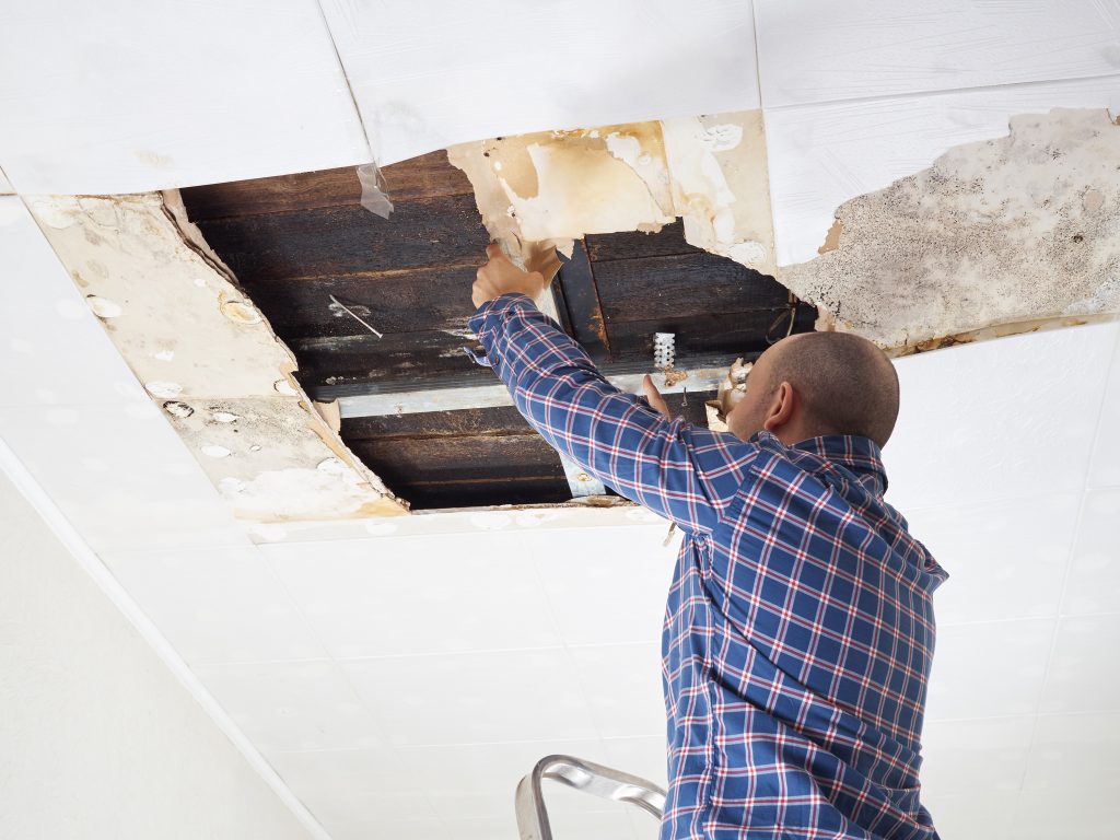Public Adjuster in Montgomery County