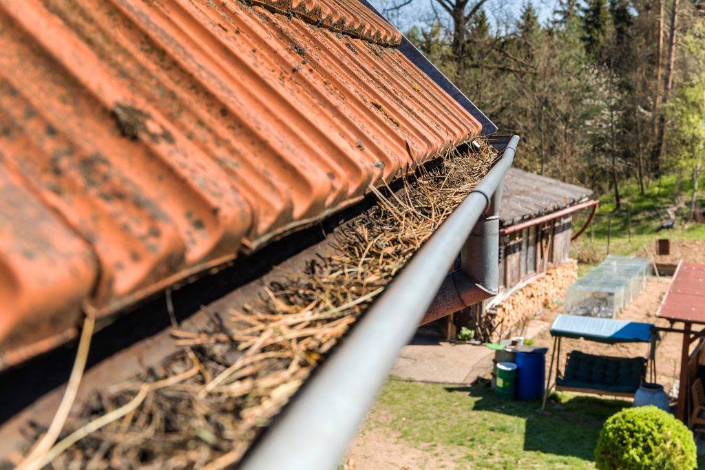 water damage from clogged gutters in pennsylvania