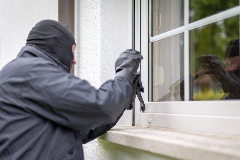 does business insurance cover theft