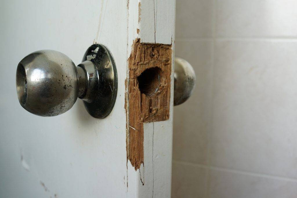 theft damage claim services in Warminster