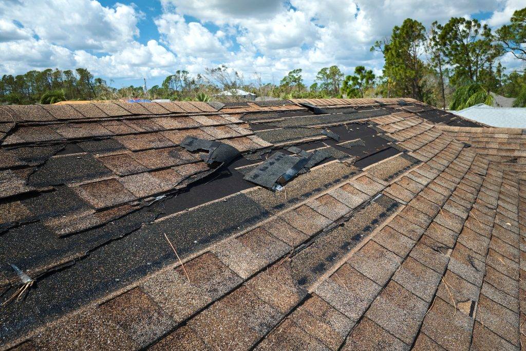 public adjuster for storm damage claim