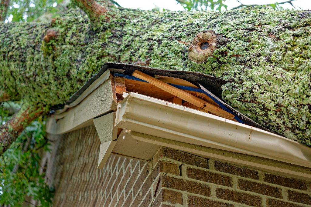 tree falling on house insurance claim