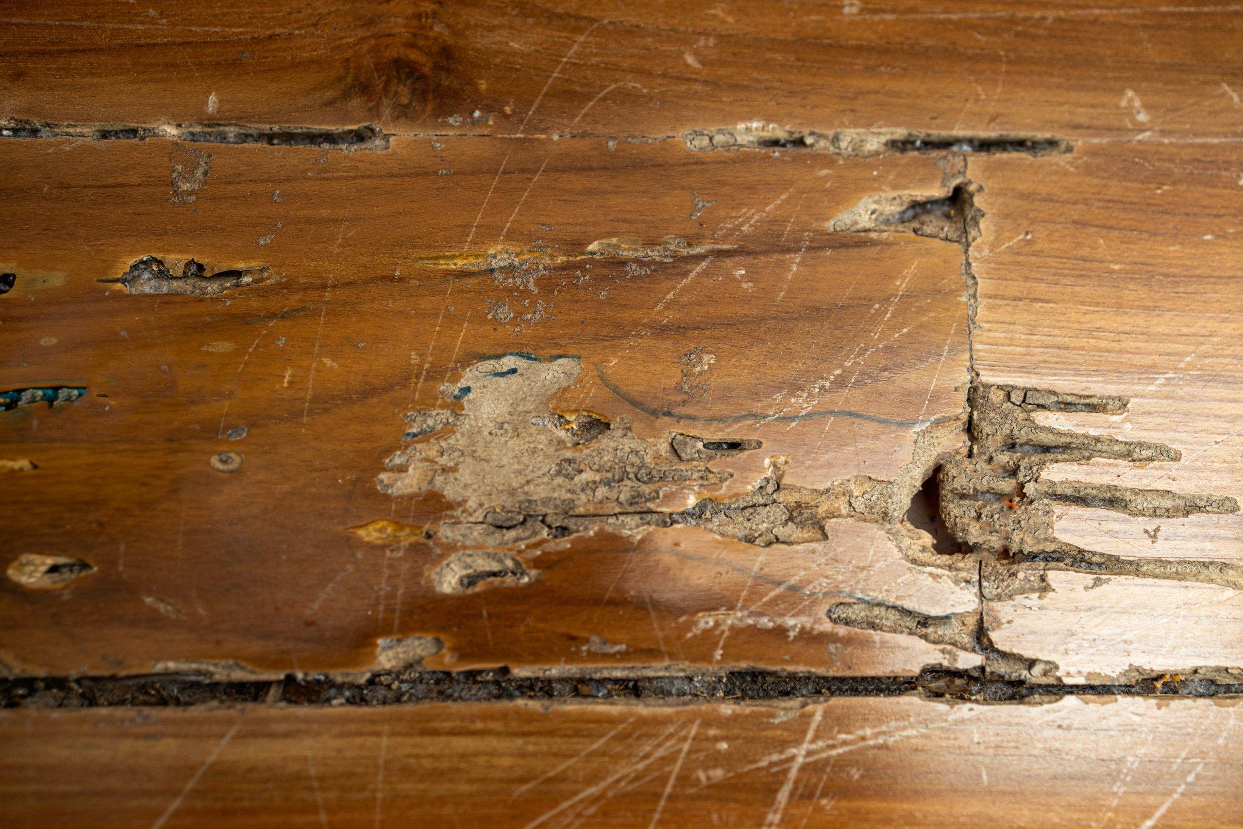 water damage in subfloors