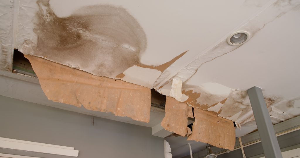 Water damage insurance adjuster in Hatboro