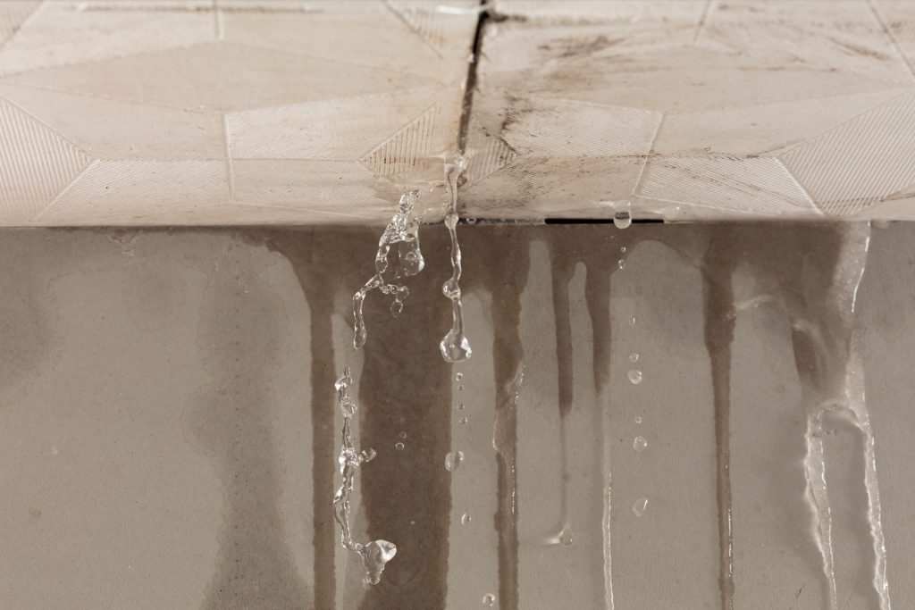 Water damage insurance adjuster in Kulpsville
