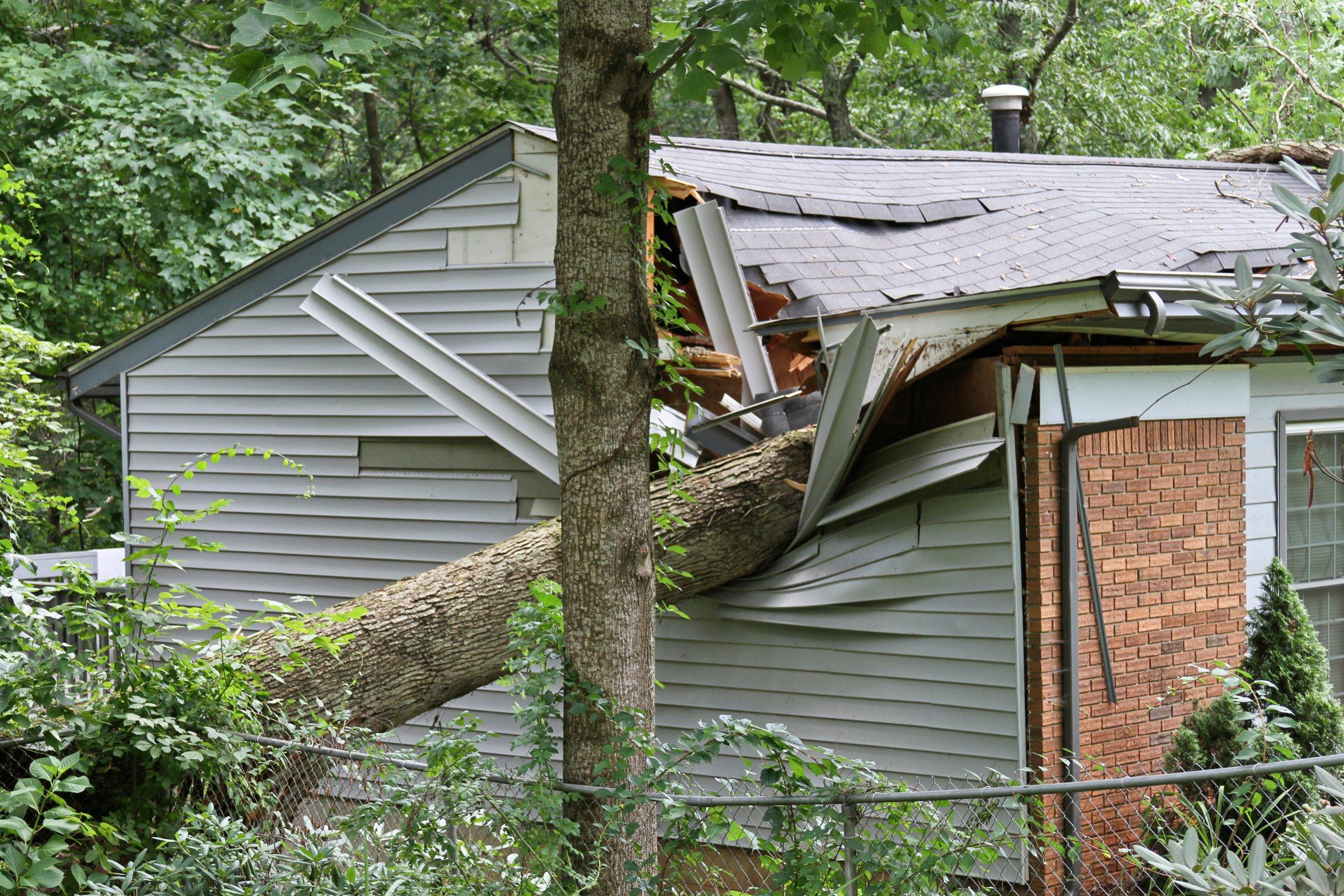 public insurance adjuster for storm damage in Pennsylvania