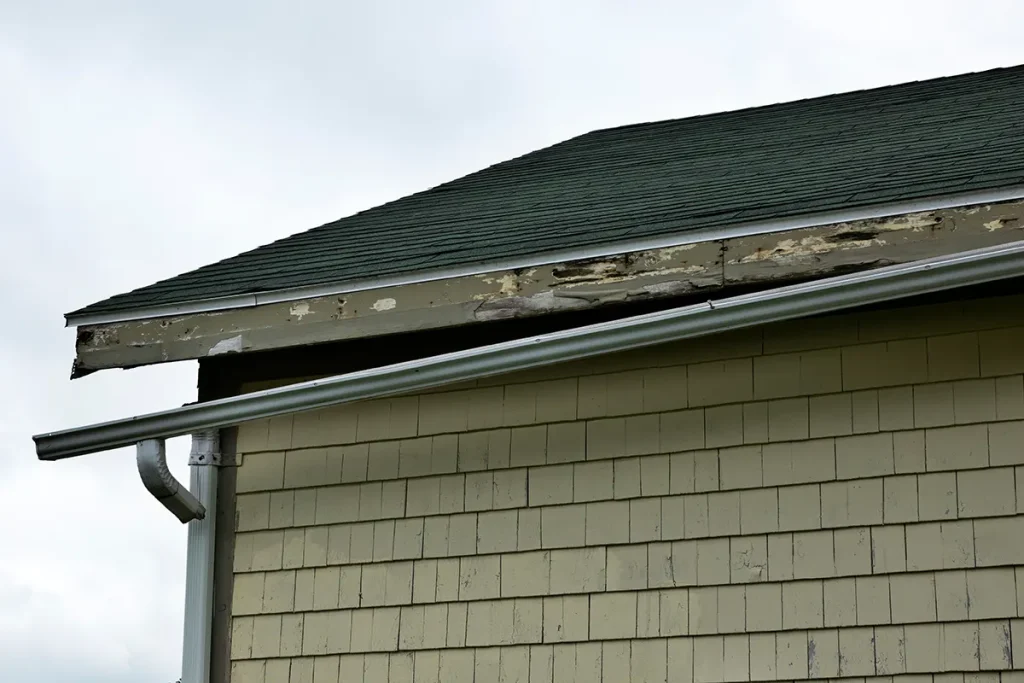 insurance adjuster for roof wind damage in Doylestown