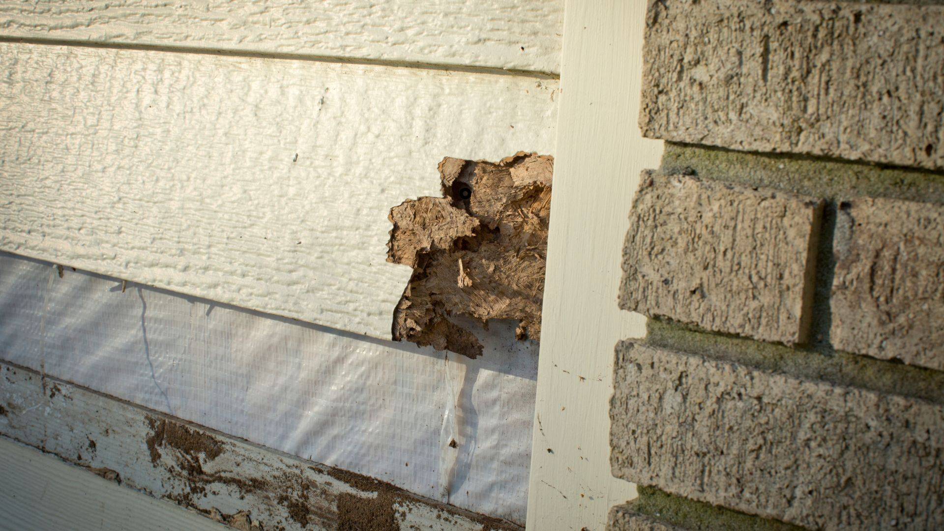 wind damage to siding insurance claim in Chalfont